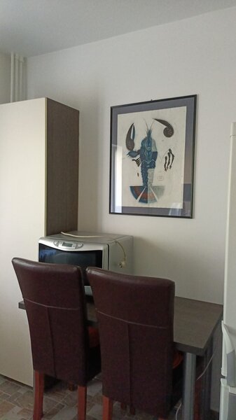 Albinelor, Tineretului, str. Viorele,